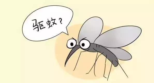 洗衣液对蚊子有效吗,洗衣液可以驱蚊子吗