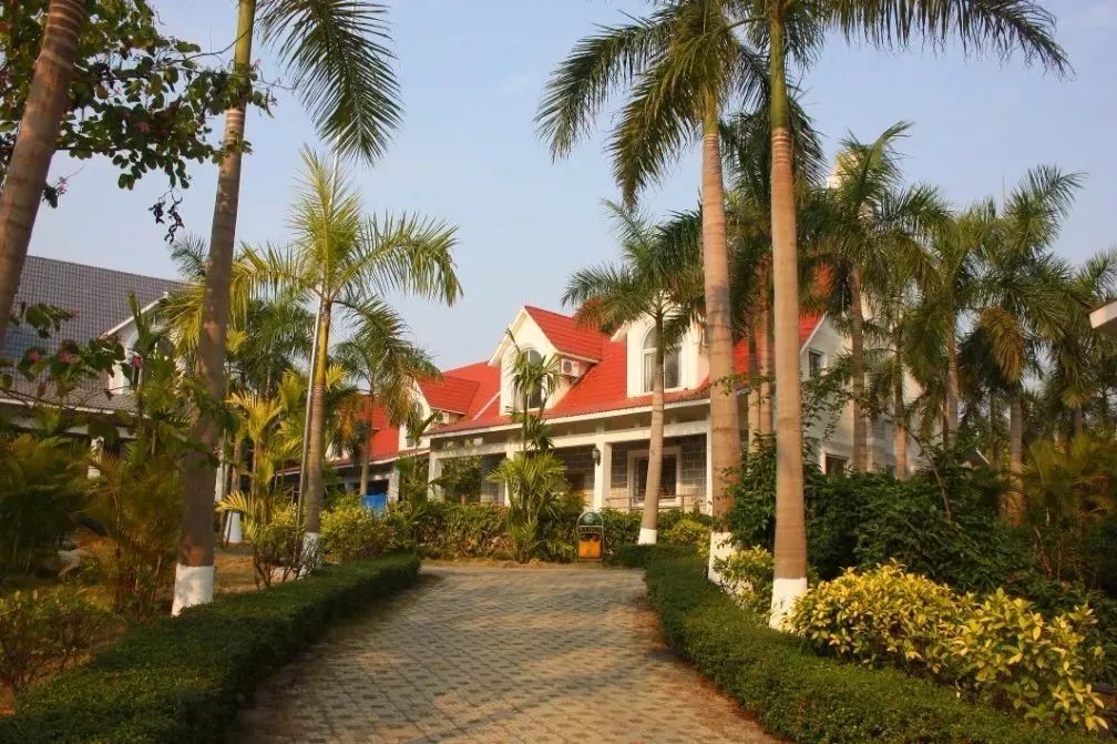 激情世界杯活动目标,激情澎湃的世界杯