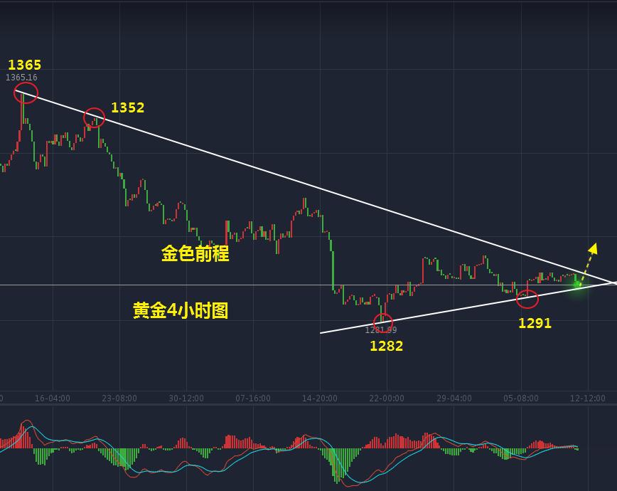 金色前程临沂,金色前程卓越