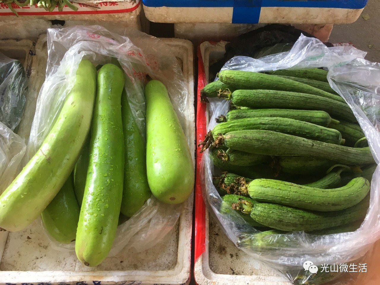 朝阳寺大市场,光山县朝阳寺市场