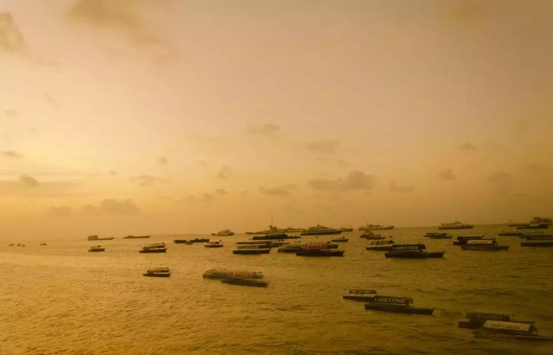 有人评论谁给你拍的照片,你拍的视频有人点赞吗