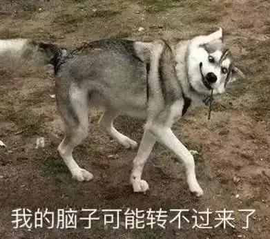 俄罗斯黑客与希拉里,俄罗斯黑客攻击美国国防部