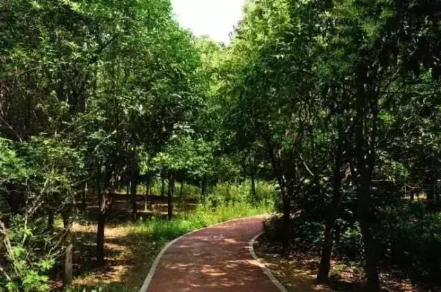 郑州适合夏天玩的旅游景点,郑州夏天旅游景点推荐