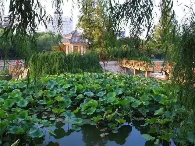 郑州适合夏天玩的旅游景点,郑州夏天旅游景点推荐