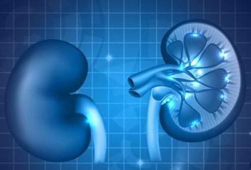 备孕提高精子质量操,孙老师备孕系列课