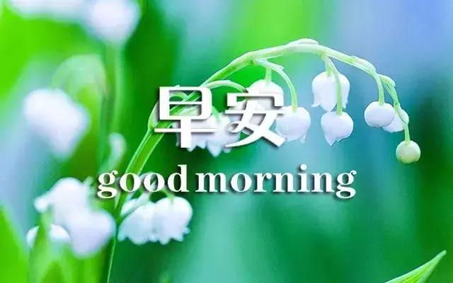 关于早安的句子唯美图片带字,早安语录唯美带字图片