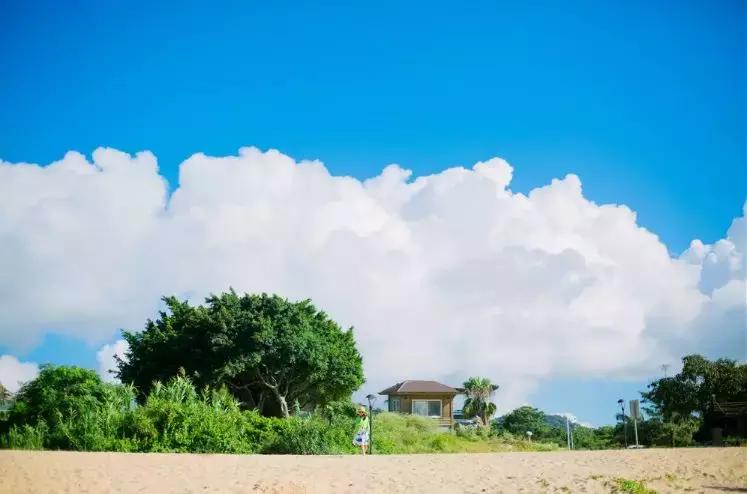 这个夏天总要来一趟浪漫的厦门,这个夏天再和你去一次厦门