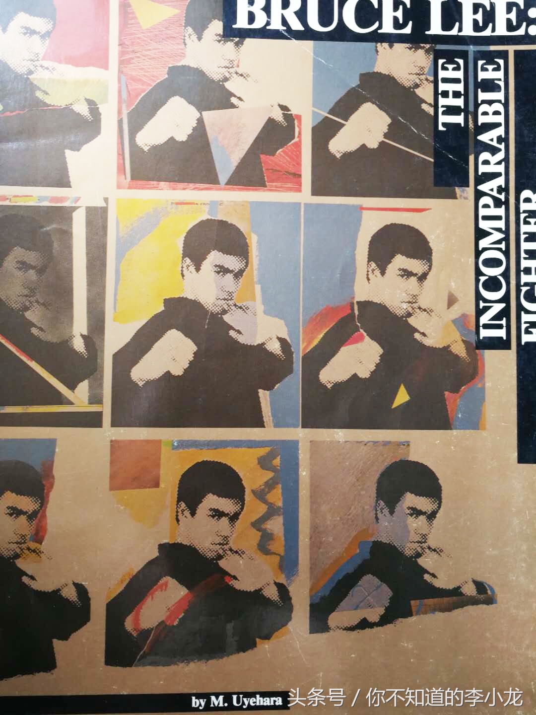 为道塾李小龙龙争虎斗图集,为道塾李小龙