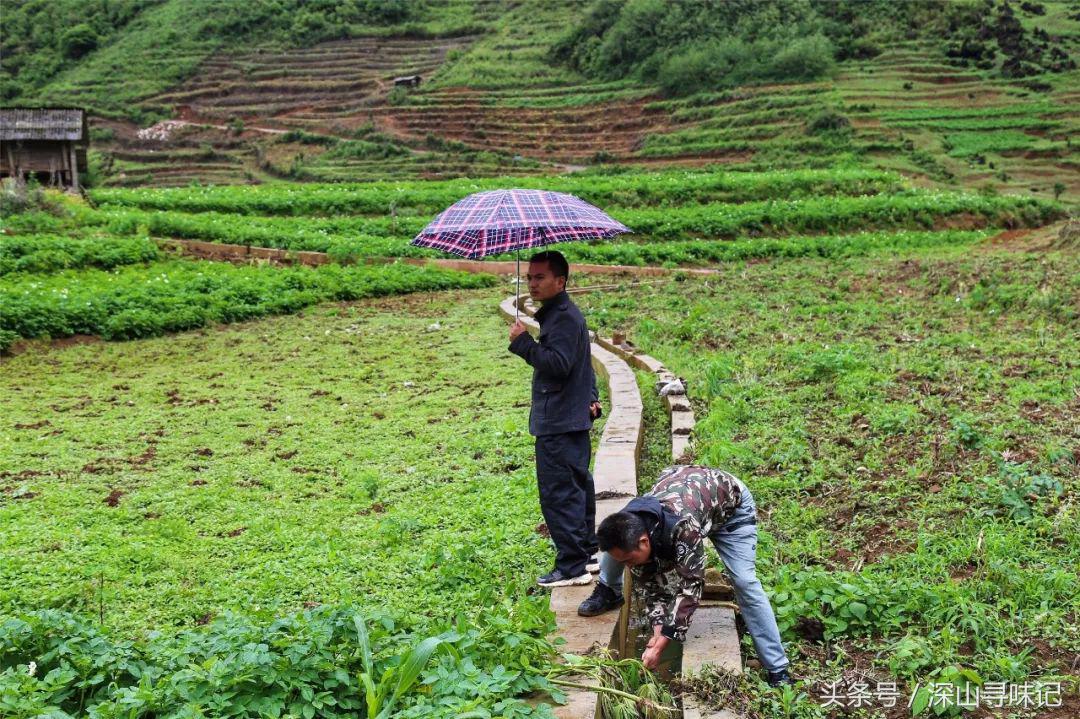 深山寻味｜远赴镇康，遇见一个不一样的木场乡