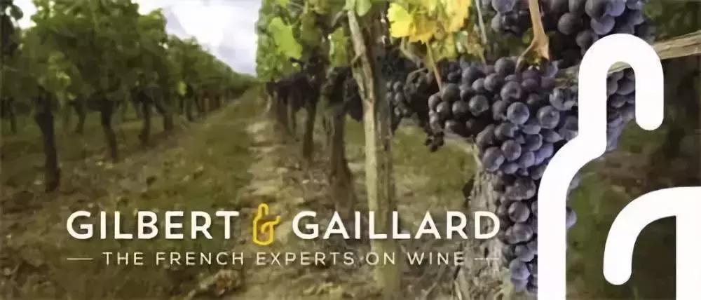 尼雅葡萄酒赤霞珠特酿级,尼雅葡萄酒白葡萄