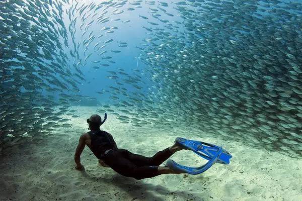 人间天堂一样的宿雾，邀您去揭开神秘面纱！