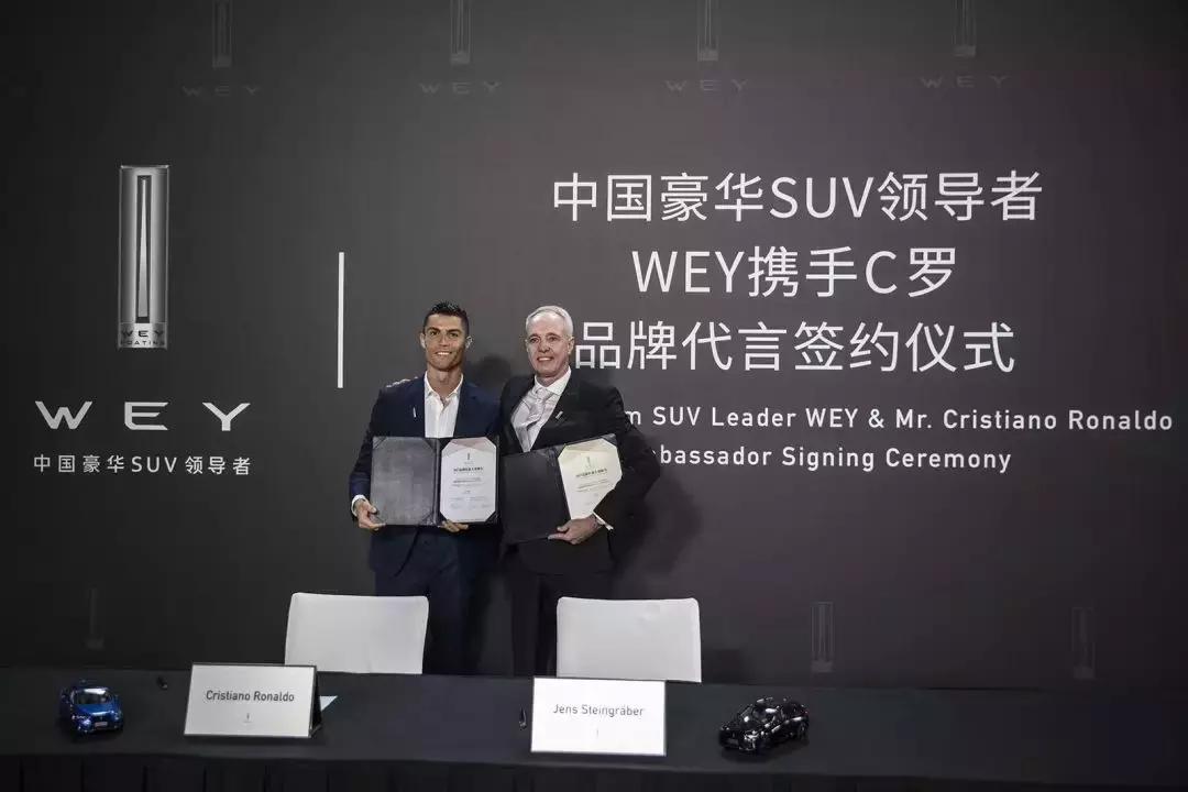 “俄罗斯世界杯，中国除了足球队没去，基本上其他都去了”