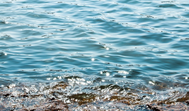 晚上在青岛吹着海风吃海鲜,青岛吹着海风吃着烧烤