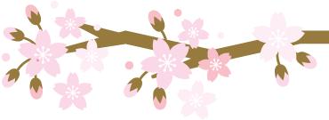 「电商人物」从打工妹到电商创业好青年——杨爱花