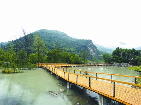 萌哭熊猫,萌哭2017新生大熊猫宝宝齐亮