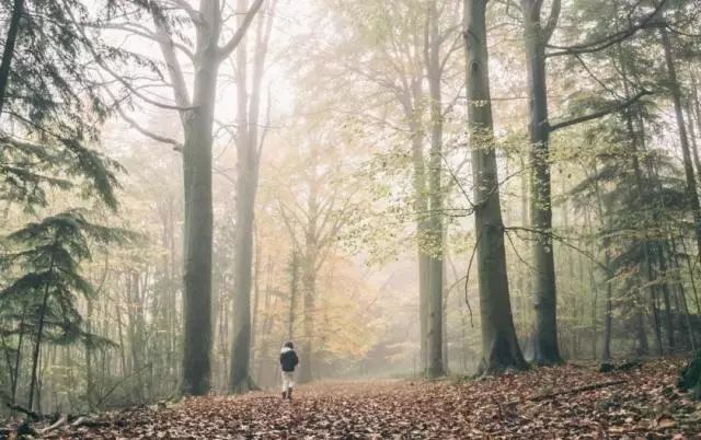 看了容易犯困的综艺,看着容易犯困的综艺