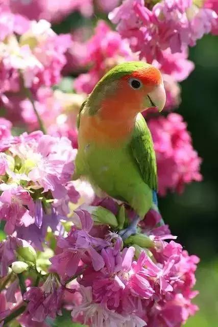 男女之间幽默搞笑顺口溜,男女之间的关系顺口溜