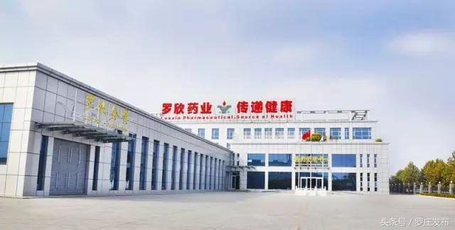 今年，罗庄这家企业预期销售收入将过百亿元！这源于······