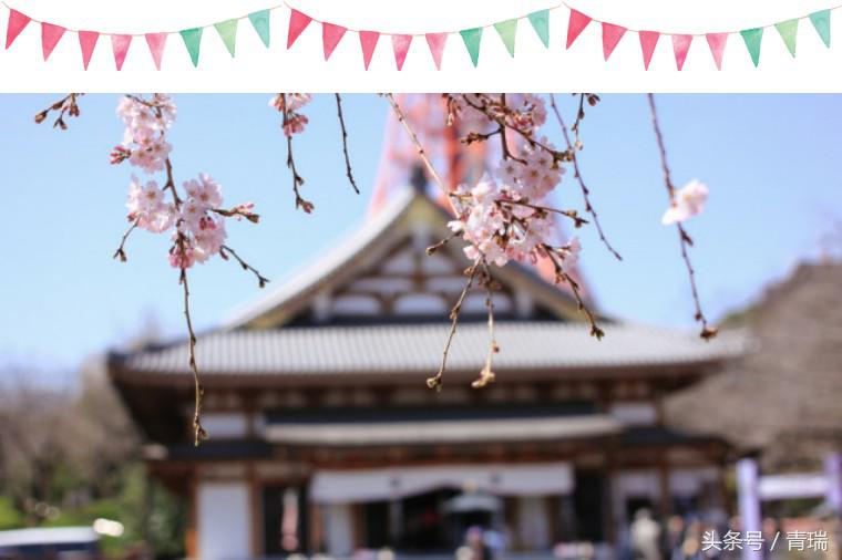 想去日本幼儿园参观学习,想去日本上学