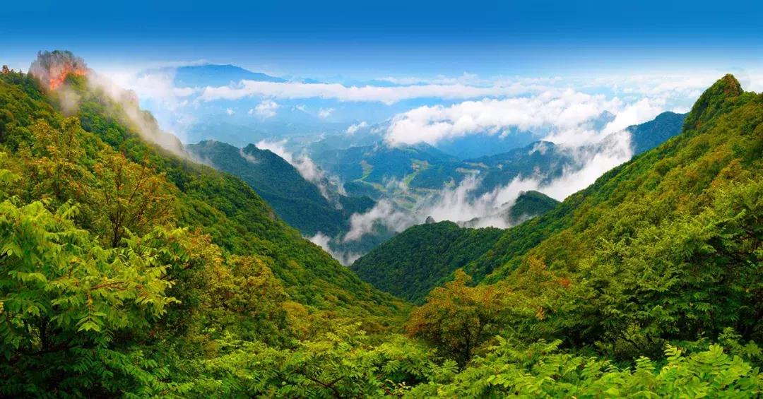 天桥峪景区网红玻璃桥,天桥沟玻璃桥一日游