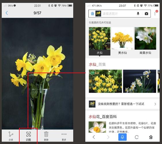 百度识图可以精确识别图片信息吗,vivonex拍照功能
