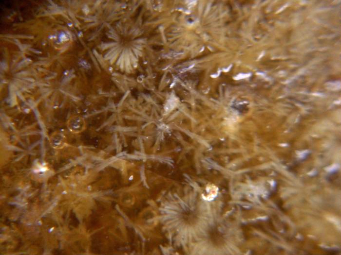 古瓷如何鉴定真伪,古瓷真伪鉴别的六种方法