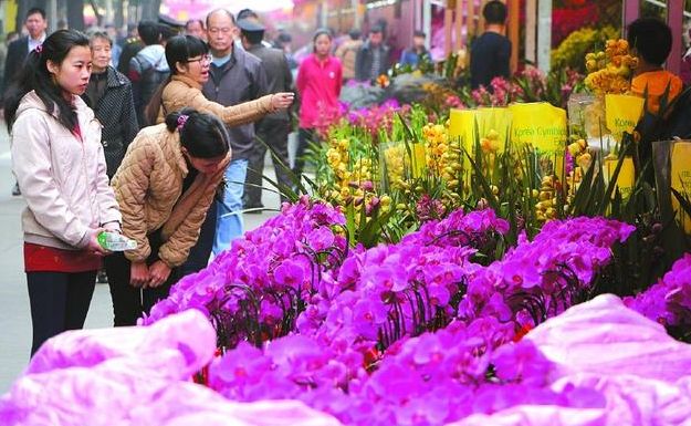 花卉市场买花养不活,花卉市场的这些猫腻