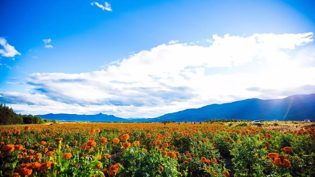 租车自驾游新方式和攻略,共享汽车旅行攻略