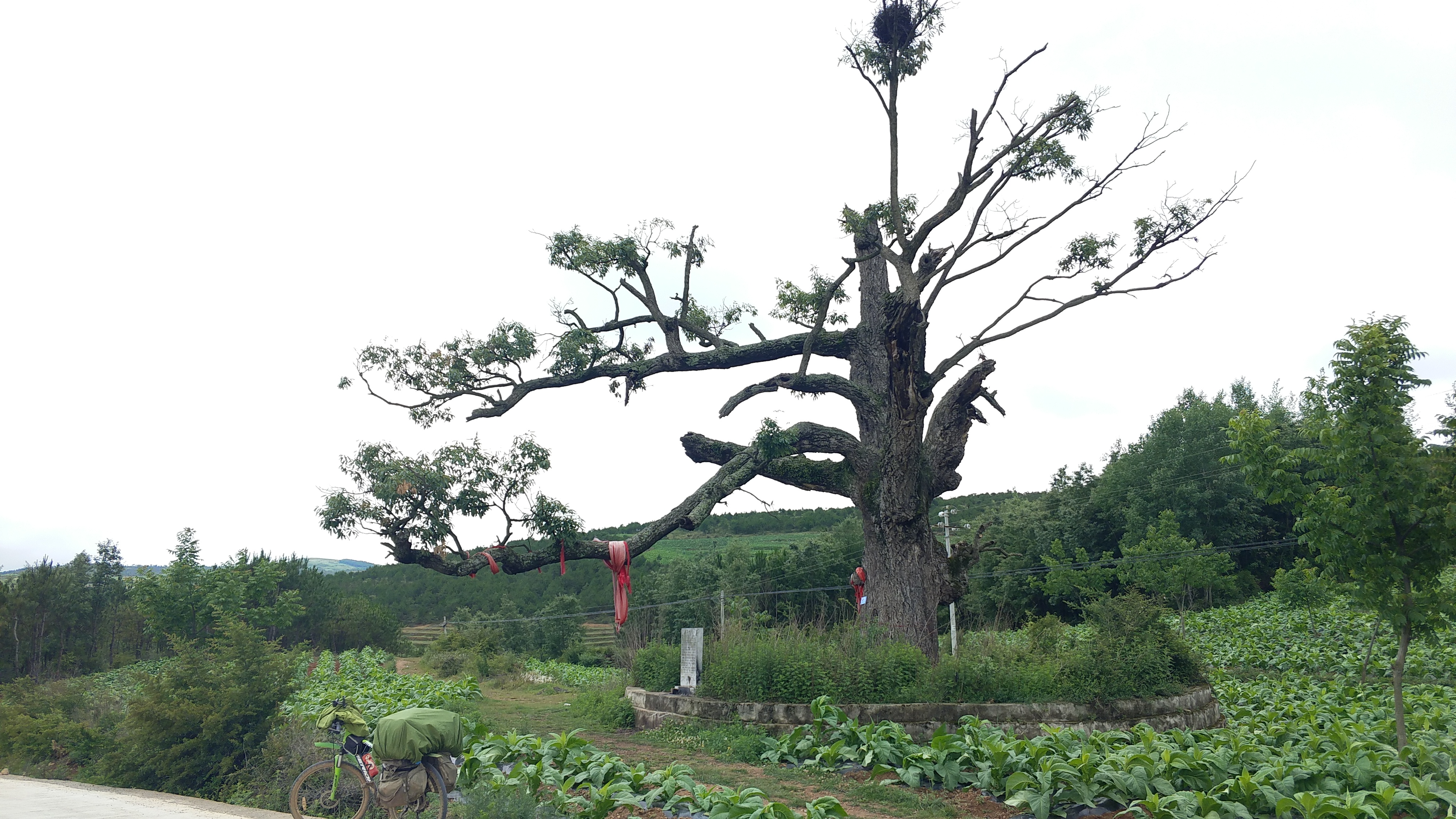 骑行进藏第51天,骑行第49天到拉萨