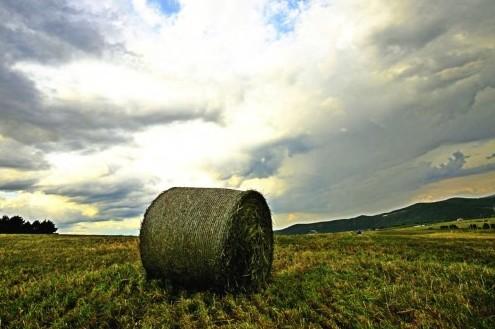 关于奶粉的这些秘密，超市售货员是不会告诉你的