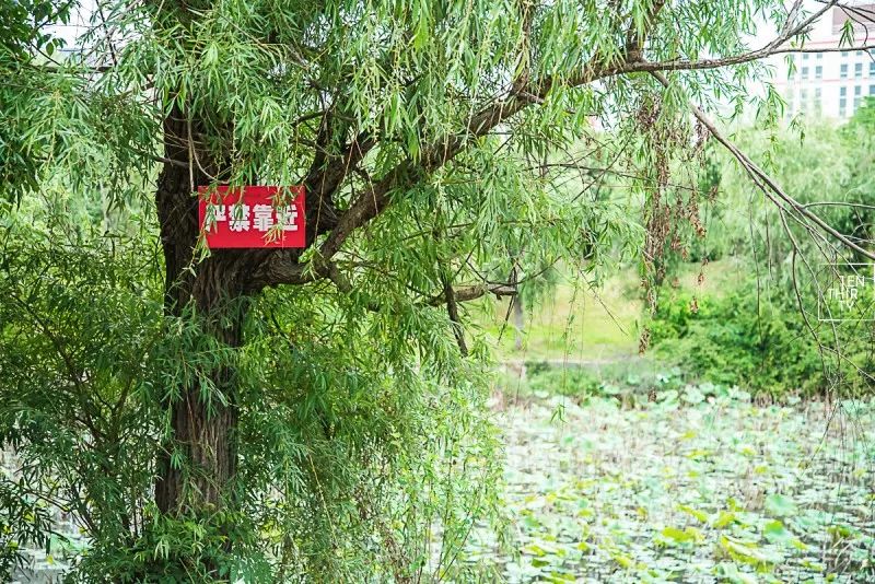 不在汉口的汉口学院，聚集了大花岭大学城最好吃的美食！