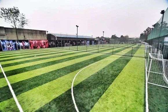 五人制室内足球世界杯,五人制足球世界杯比赛场地