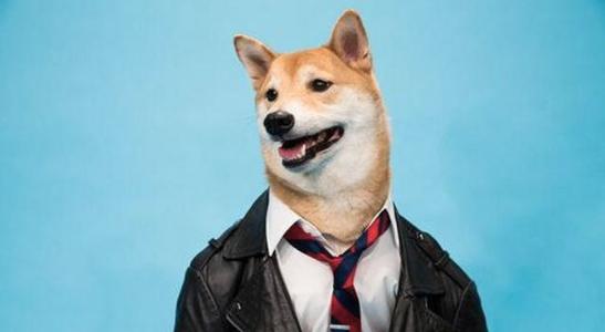 我是一个干公关的，但不是酒店的那种