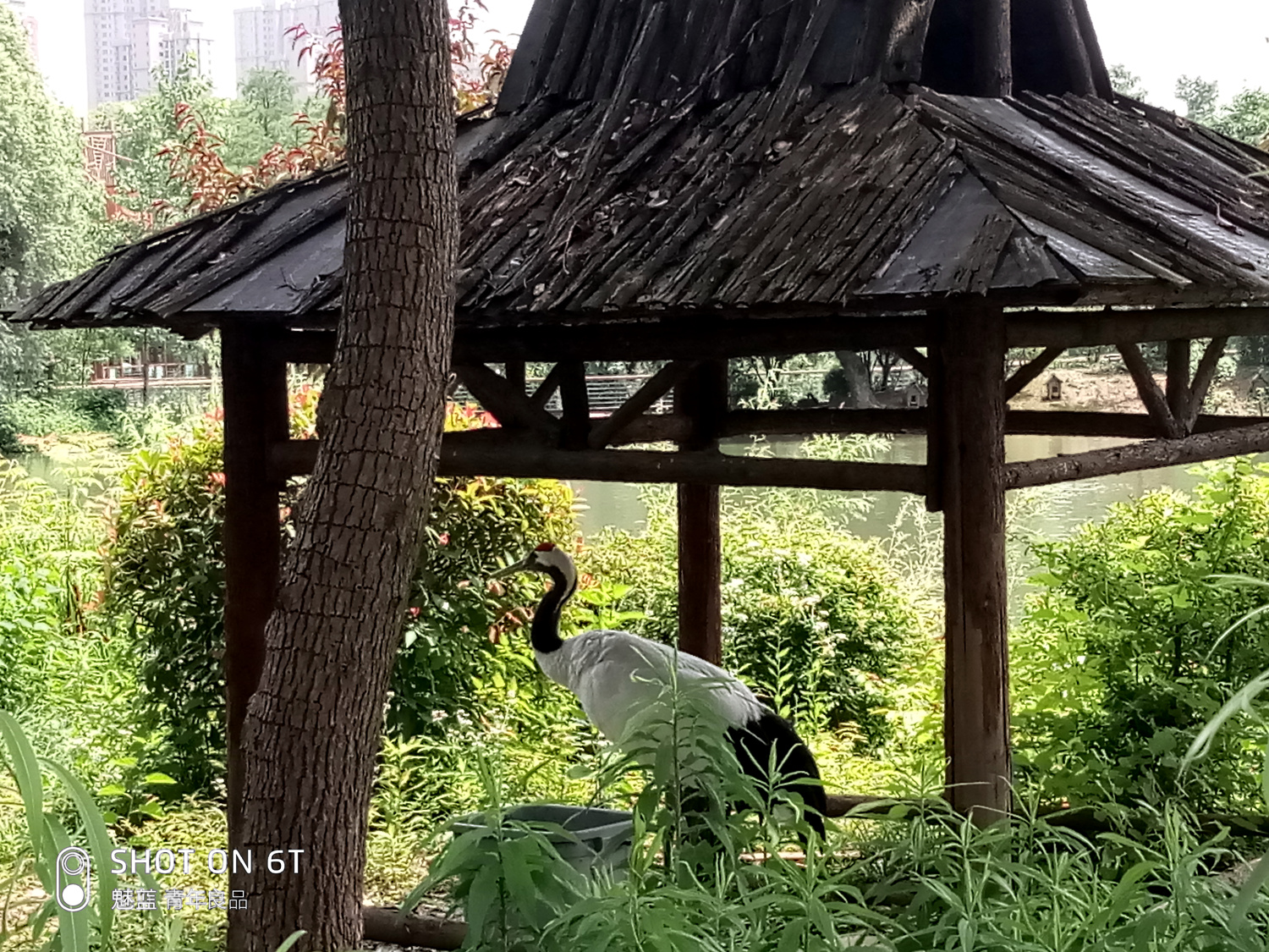 魅蓝6t百元机新标杆,魅蓝6t发布会视频回顾