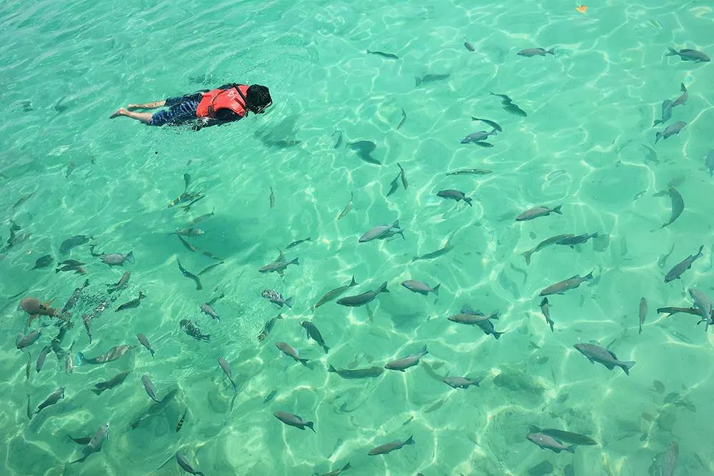 2019免签直飞巴厘岛 (直飞巴厘岛旅游)