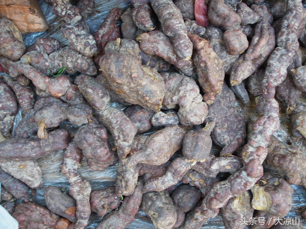 相机记录德昌端午节19年传统端午在大凉山非常火爆今年县政府主办值得期待