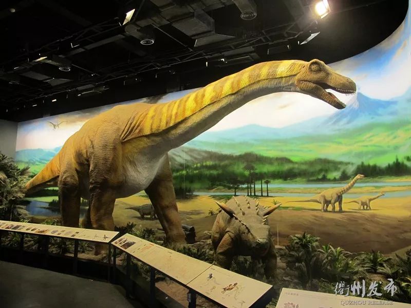 衢州推荐玩的地方,衢州的特色风景区