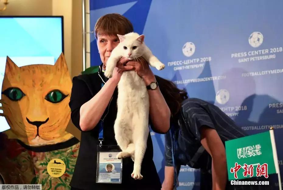 世界杯小知识及观赛指南来啦,世界杯比赛时间表及看点