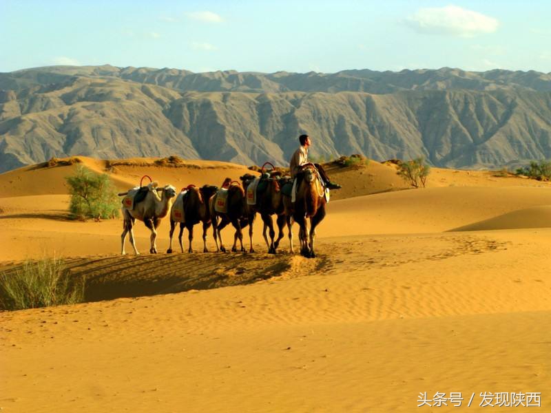 巴基斯坦留学生介绍巴基斯坦,关于巴基斯坦你不知道的事