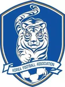 世界杯看球指南全集,球迷必备的世界杯看球指南