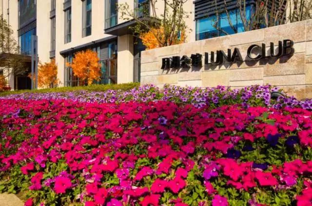 郑州四环刚需楼盘,郑州四环时代