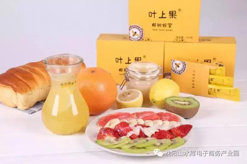 2018“赢在沈阳”农村电商特训营完美收官