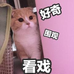 地铁6号线最新高清大图,不同国家的地铁六号线