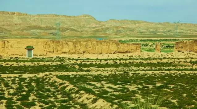 甘肃张掖军马场旅游 (张掖最好的军马场)