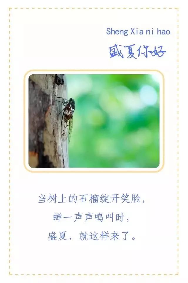 国色天乡水上乐园夜场夜猫子派对，俄罗斯美女首秀、电音狂欢节、啤酒小龙虾，心动吗？