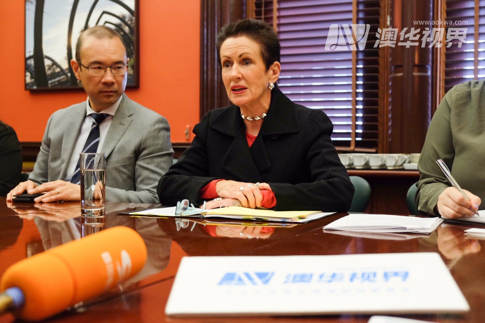 悉尼市发展规划,悉尼前瞻采访