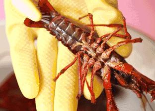 2018世界杯期间，如何正确吃小龙虾？