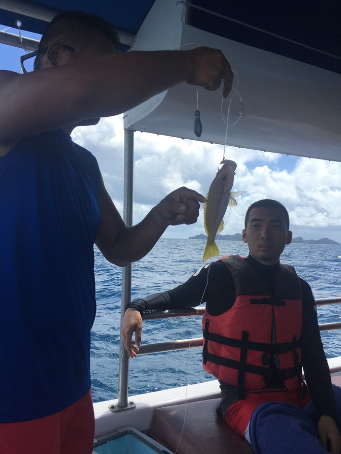 帕劳海底之旅,帕劳的海底