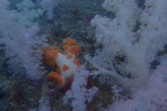 端午来这个绝美海岛,端午海岛游