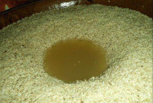 猪的优点和美德,猪的优点有哪些方面